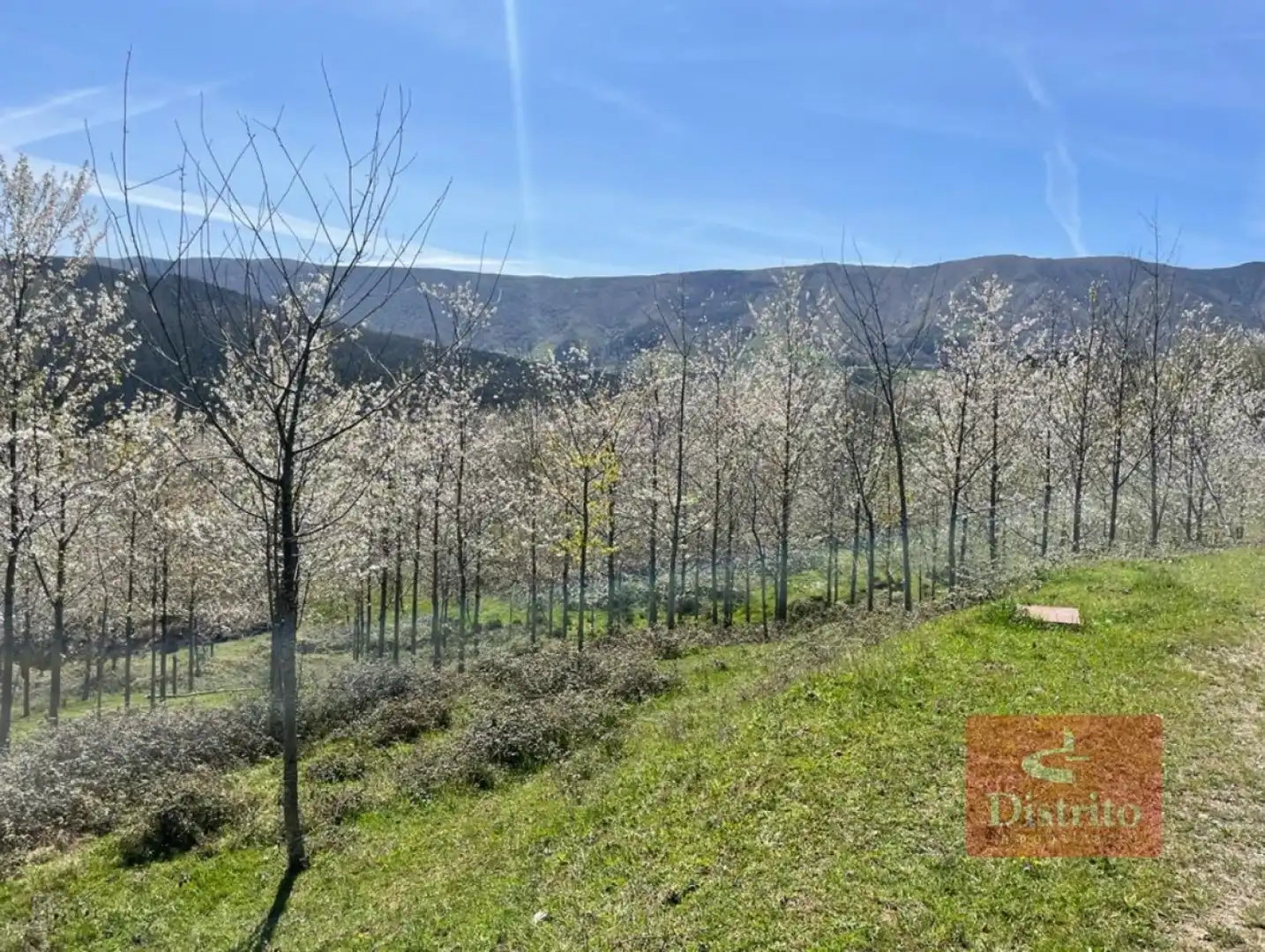Terreni e lotti in vendita a Valdáliga - barrio la herrería, imagen 6