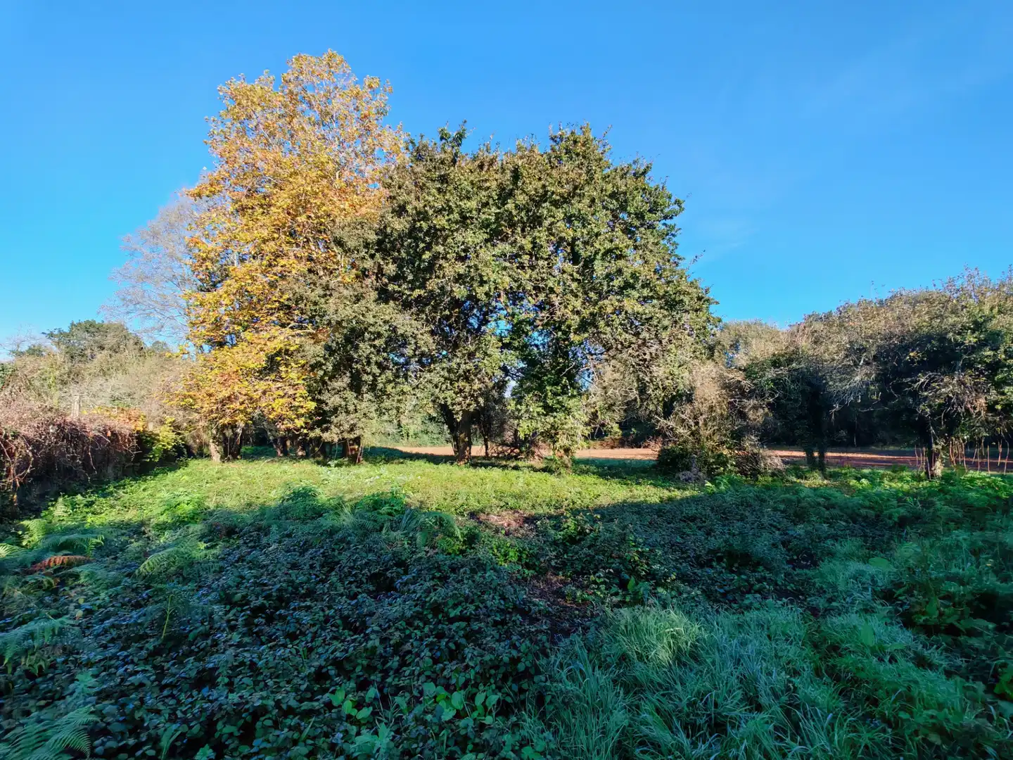 Land for sale in Sada (A Coruña)
