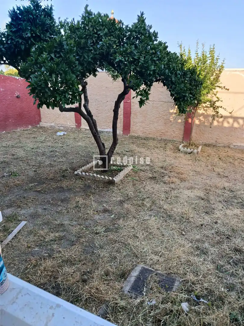 Casa o chalet en venta en Málaga con Terraza