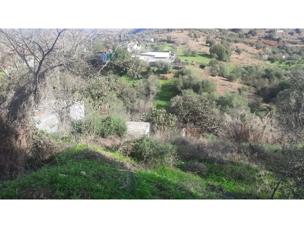 Terrenos y solares en venta en Almogía, imagen 25