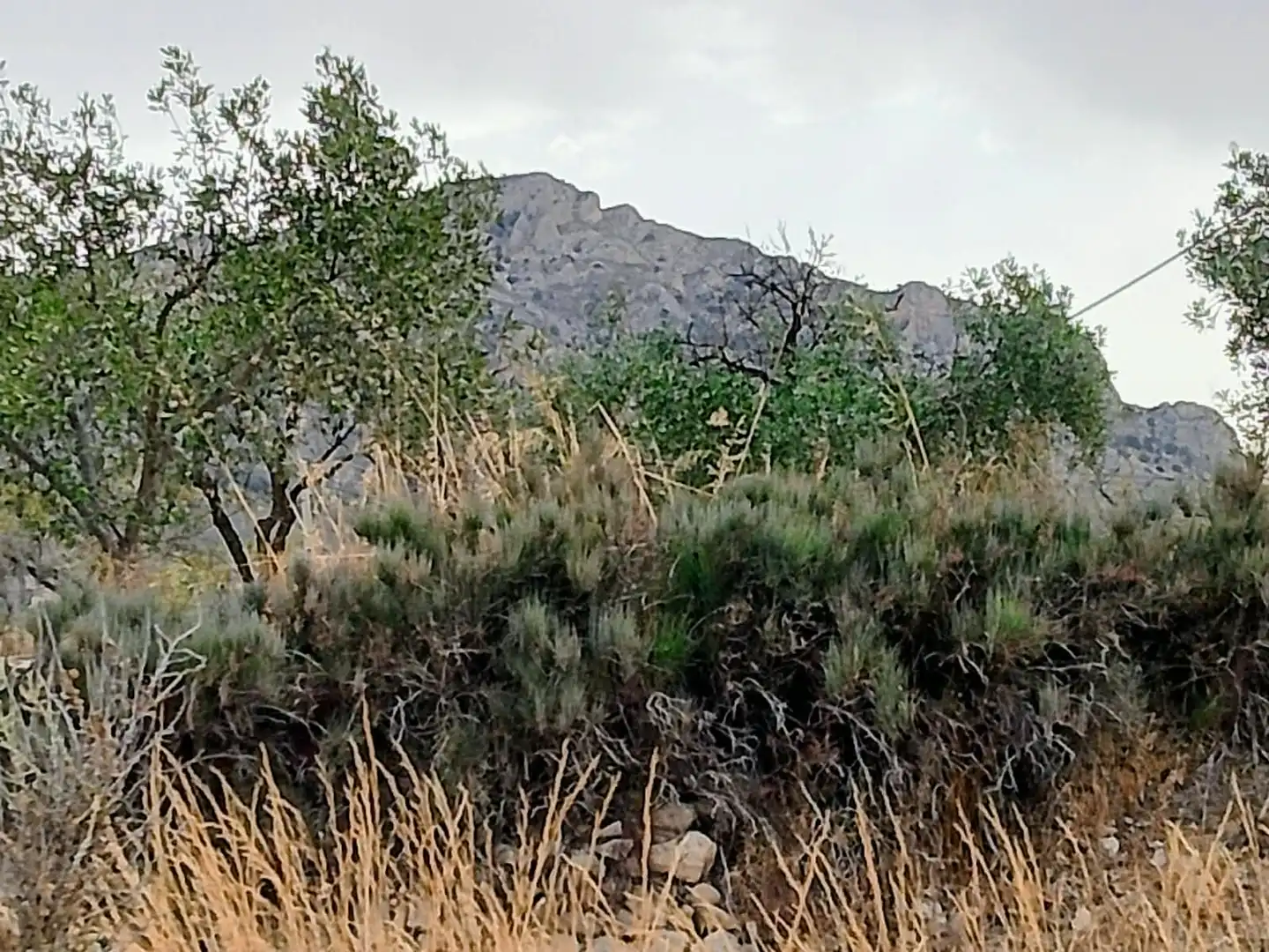 Terreno rustico in vendita a Lugar Castillo, imagen 9