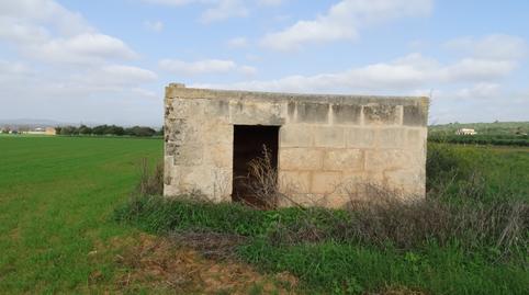 Foto 2 de Terreny en venda a Felanitx Poble, Felanitx