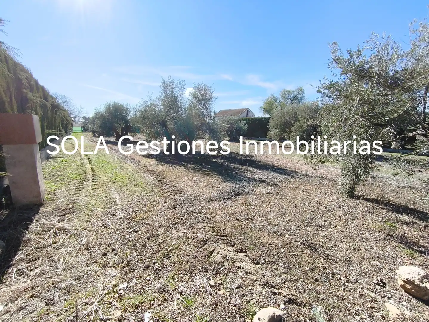 Terreni e lotti in vendita a Torreperogil