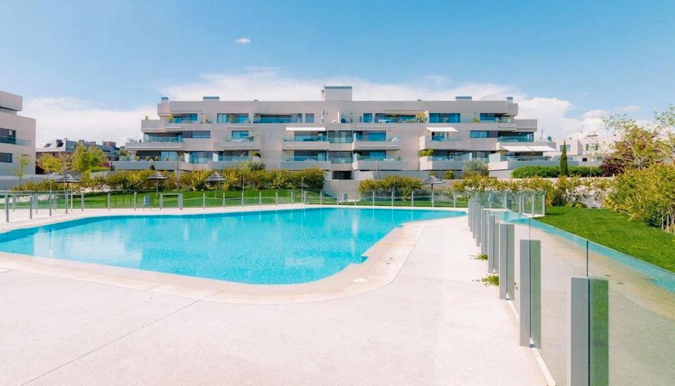 Photo 1 of Planta baja to rent in Avenida Víctimas del Terrorismo, Valenoso, Madrid