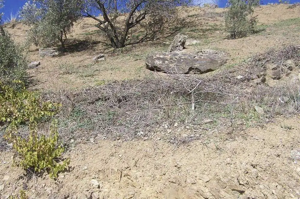 Terreno rustico in vendita a Árchez, imagen 3