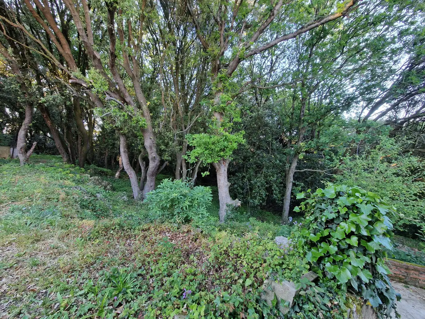 Xalet amb jardí en venda a Avenida Menéndez Pelayo, imagen 7
