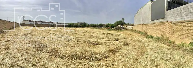 Terreni e lotti in vendita a Olivares, imagen 27