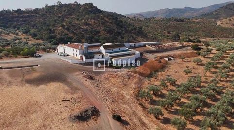 ENORME FINCA RÚSTICA CON AMPLIAS POSIBILIDADES  GANADERÍA ECOLÓGICA  AGRICULTURA SOSTENIBLE  TURISMO RURAL  CENTRO ECUESTRE EN AND, imatge 2
