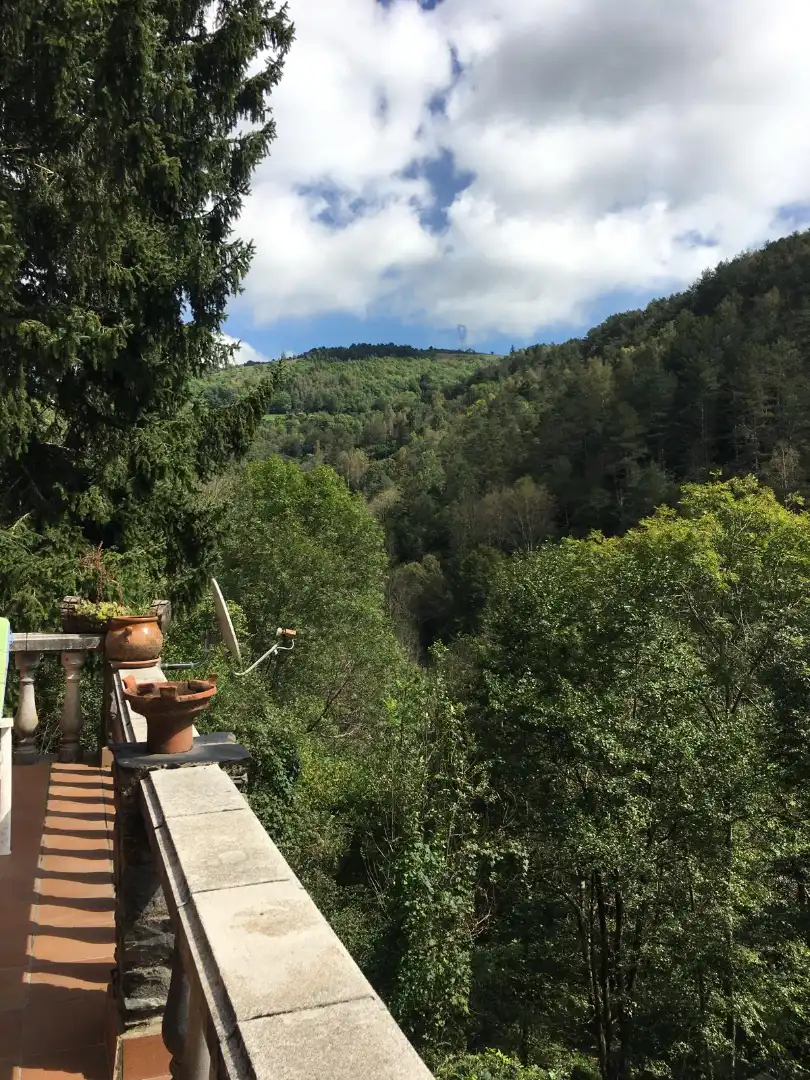 Jardí de Casa o xalet en venda en Molló amb Jardí privat, Terrassa i Piscina