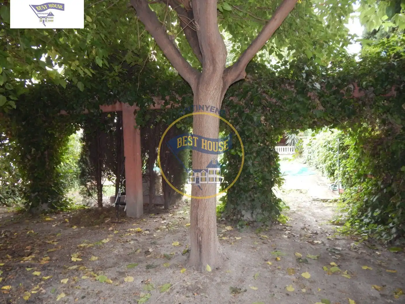 Exterior view of Houses for sale in Ontinyent  with Private garden, Storage room and Swimming Pool