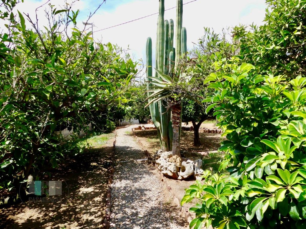 Jardí de Casa o xalet en venda en Benicasim / Benicàssim
