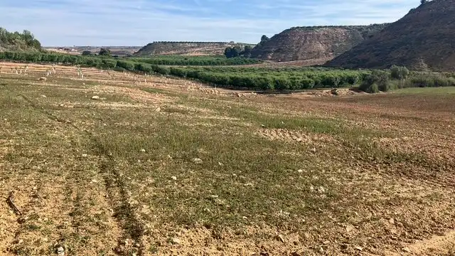 Terreni e lotti in vendita a N/A, imagen 10