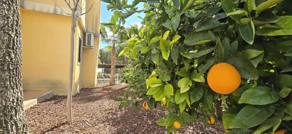 Garden of Houses for sale in Totana  with Air Conditioner, Private garden and Storage room