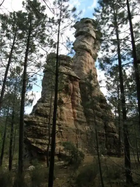 Garden of Land for sale in Cuenca