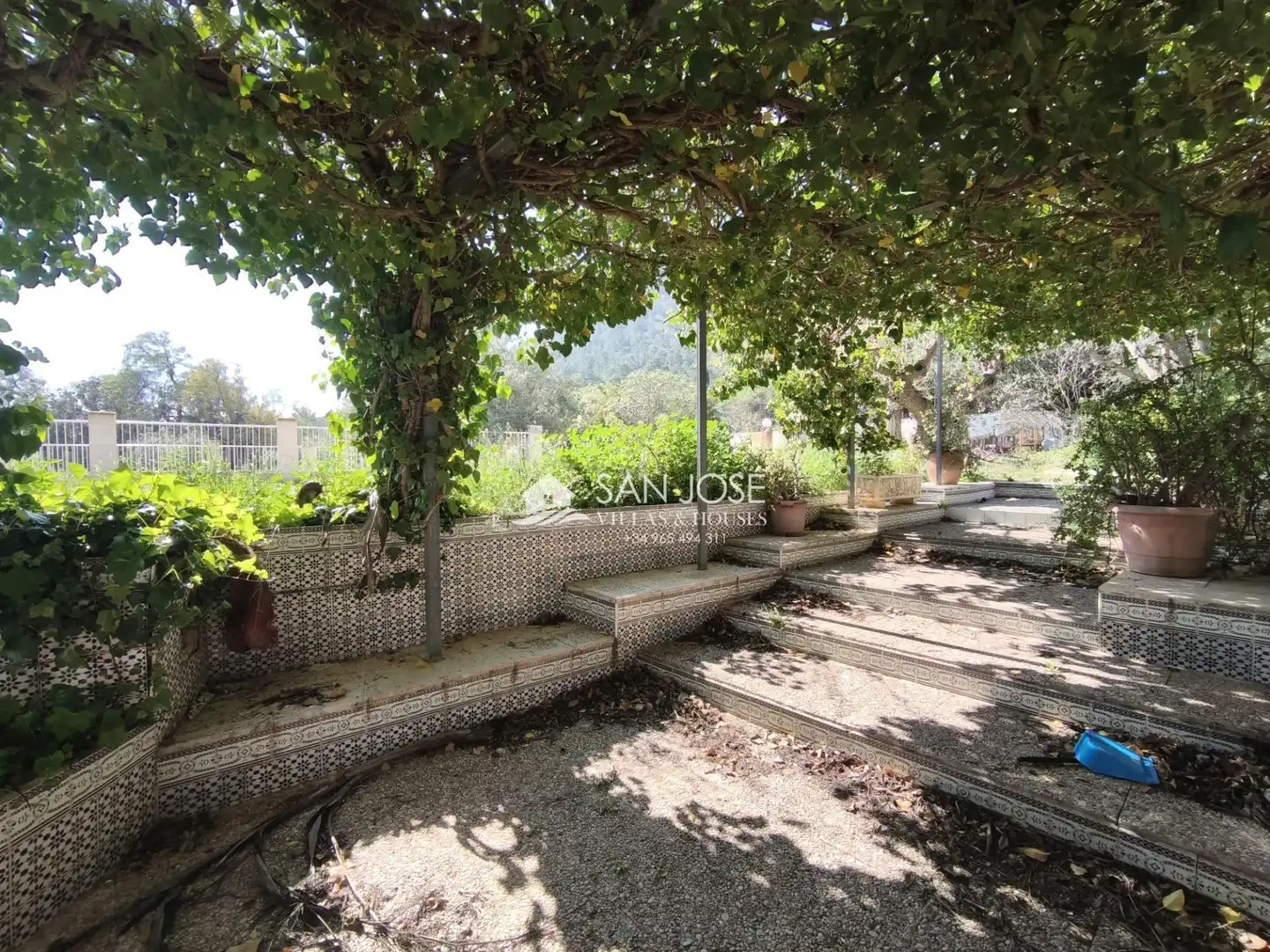 Jardín de Casa o chalet en venta en Aspe con Terraza, Trastero y Piscina