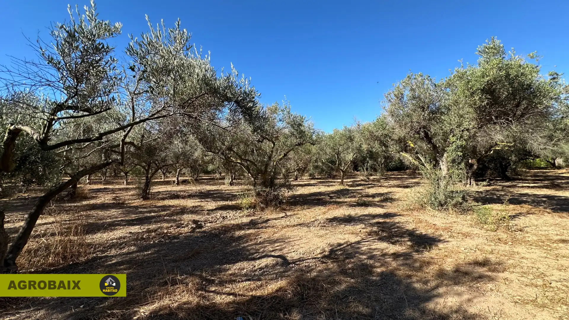 Rural land for sale in BV-2002 114, imagen 21
