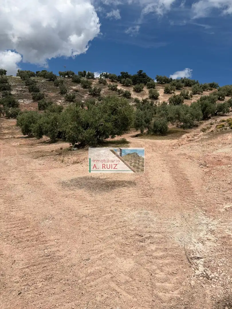 Rural land for sale in Iznájar, imagen 4
