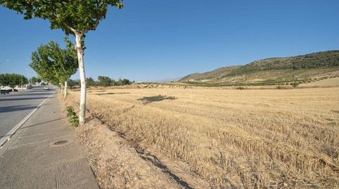FINCA RÚSTICA JUNTO CAÑADAS DEL PARQUE, DÍLAR, immagine 2
