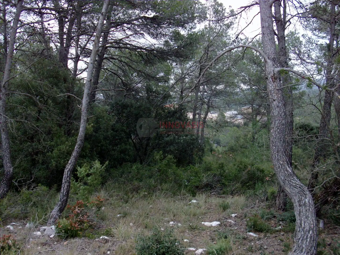 Terreni e lotti in vendita a Querol, imagen 4