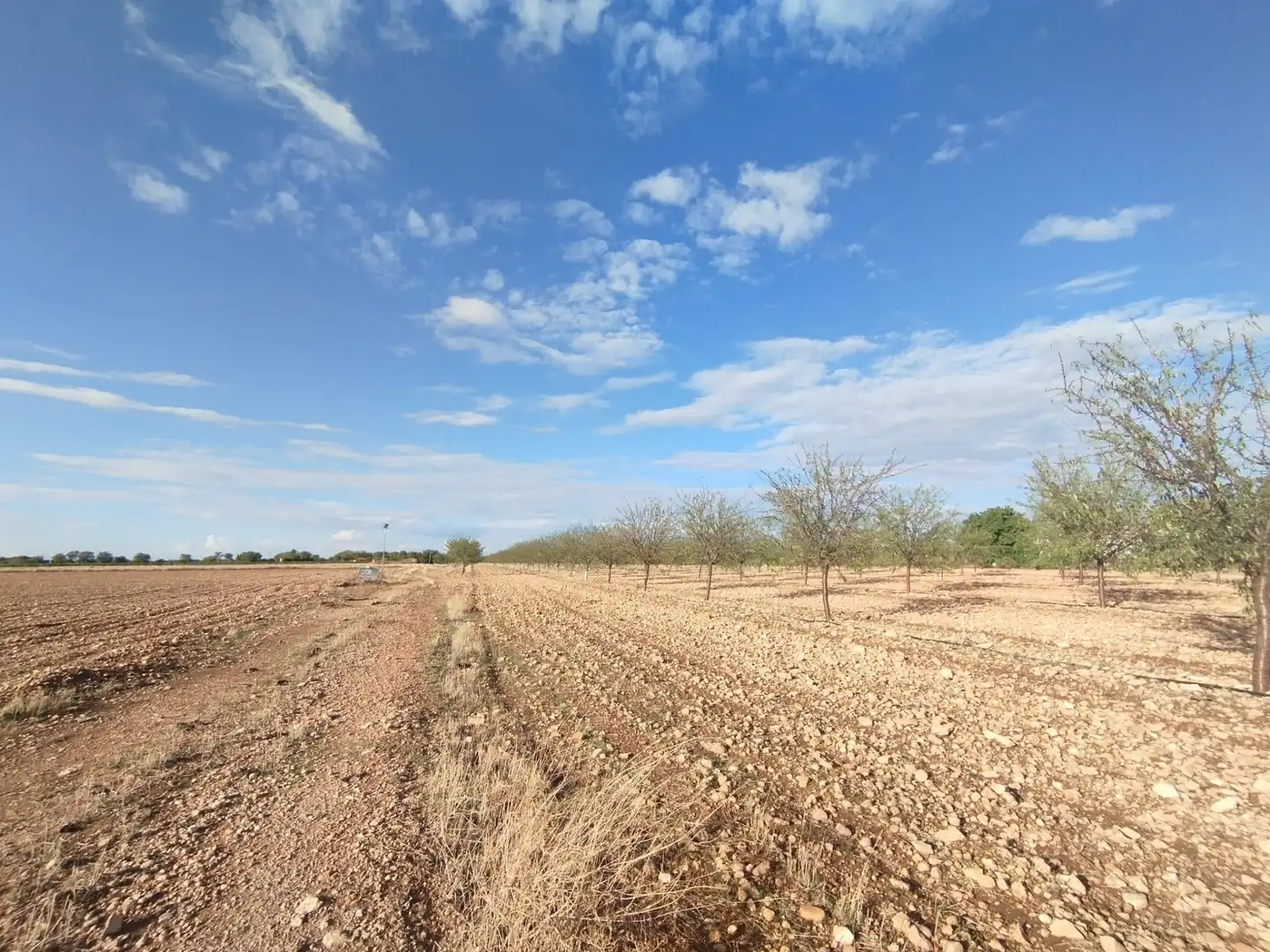Terreny rústic en venda a CM-3109, imagen 17