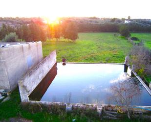 Piscina de Finca rústica en venda en Santa Margalida amb Piscina