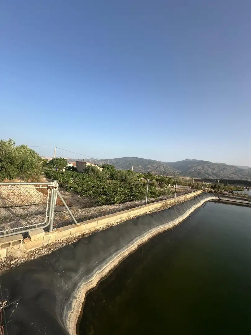 Finca rústica en venta en Somontín