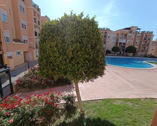 Swimming pool of Planta baja for sale in Molina de Segura  with Terrace