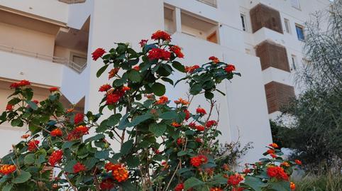 Foto 2 de Pis en venda a Avinguda D'escandinàvia, 37, Gran Vista - Olivo de Oro, Alicante