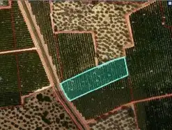 Terreny rústic en venda a Santa Bàrbara, imagen 16