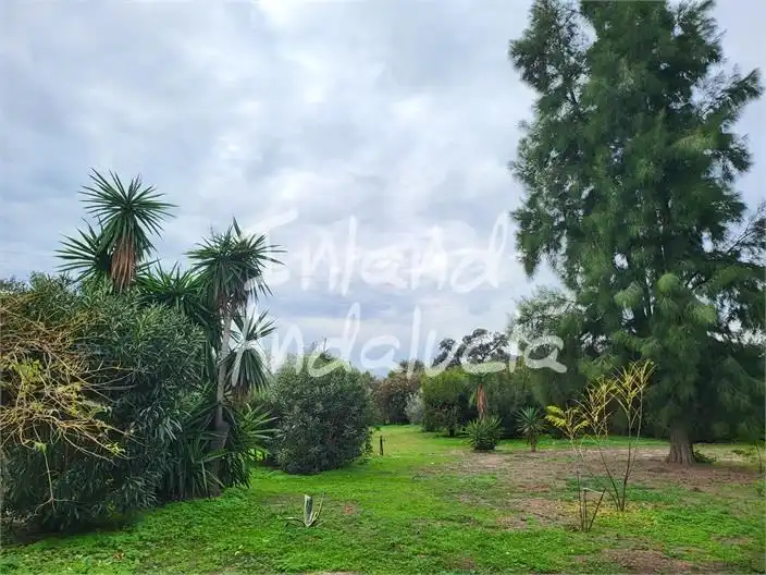 Maison avec piscine à vendre à Marchena, imagen 5