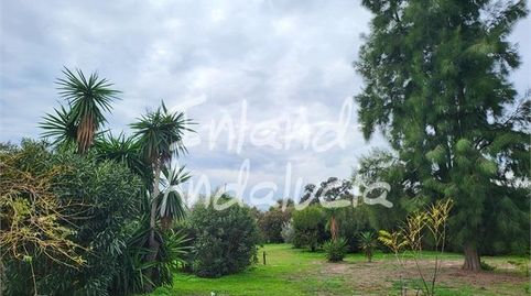Foto 5 de Casa o xalet en venda a Marchena, Sevilla