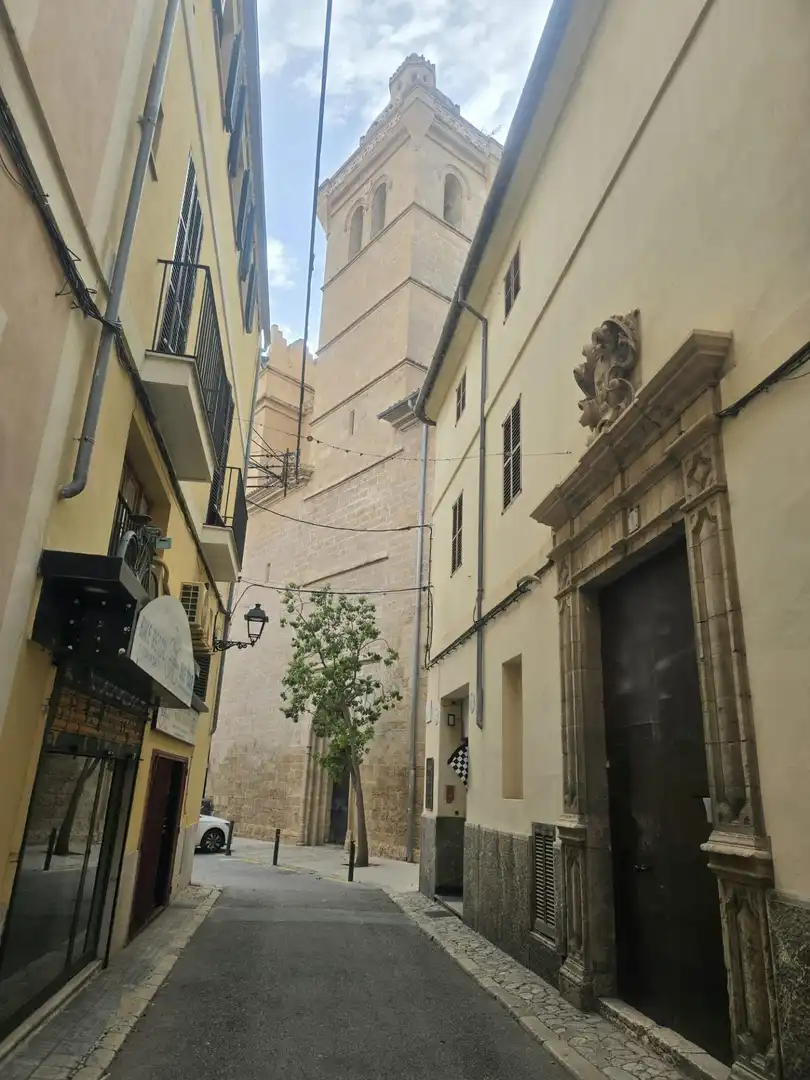 Vista exterior de Piso en venta en  Palma de Mallorca con Aire acondicionado, Calefacción y Terraza