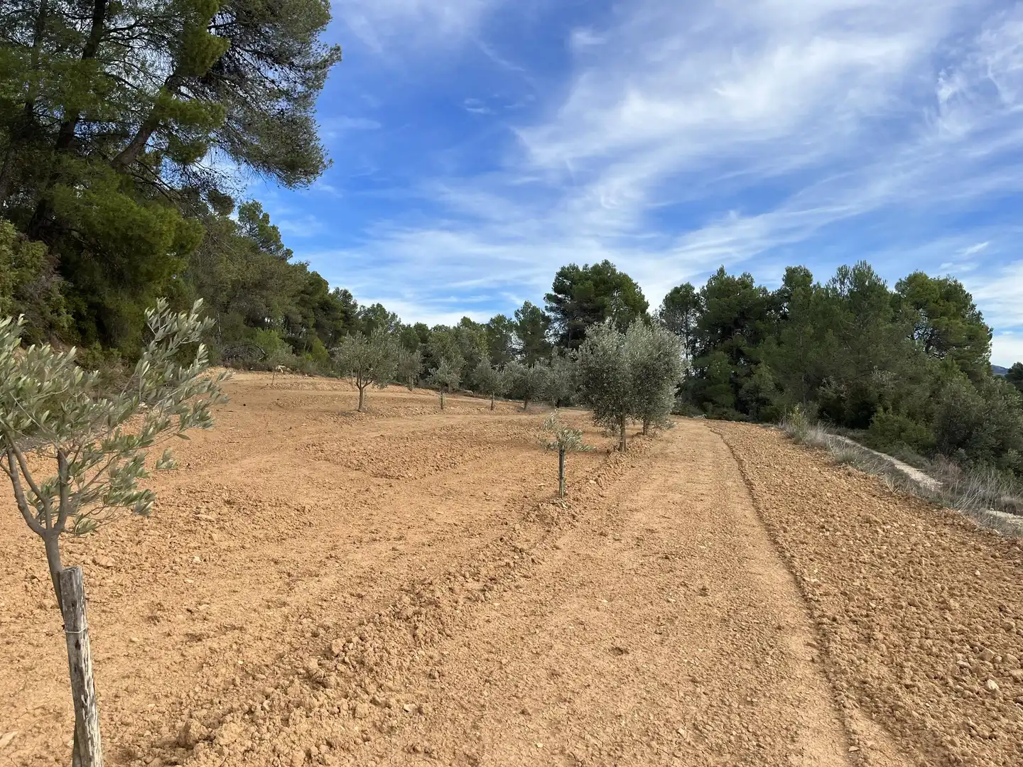 Terreni e lotti in vendita a Lledó, imagen 6