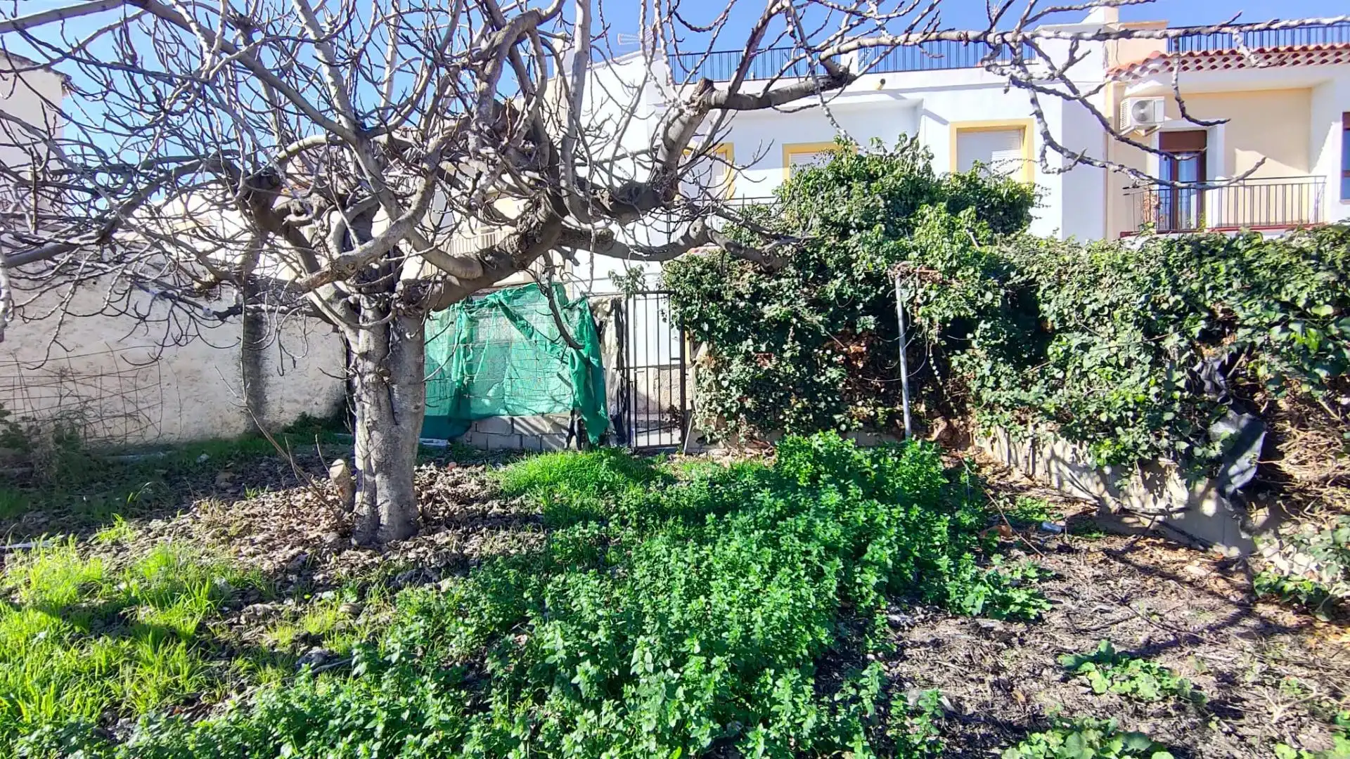 Jardí de Casa o xalet en venda en Vélez-Rubio