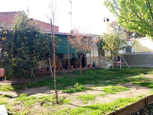 Garden of House or chalet for sale in Peñarroya-Pueblonuevo  with Air Conditioner, Storage room and Swimming Pool