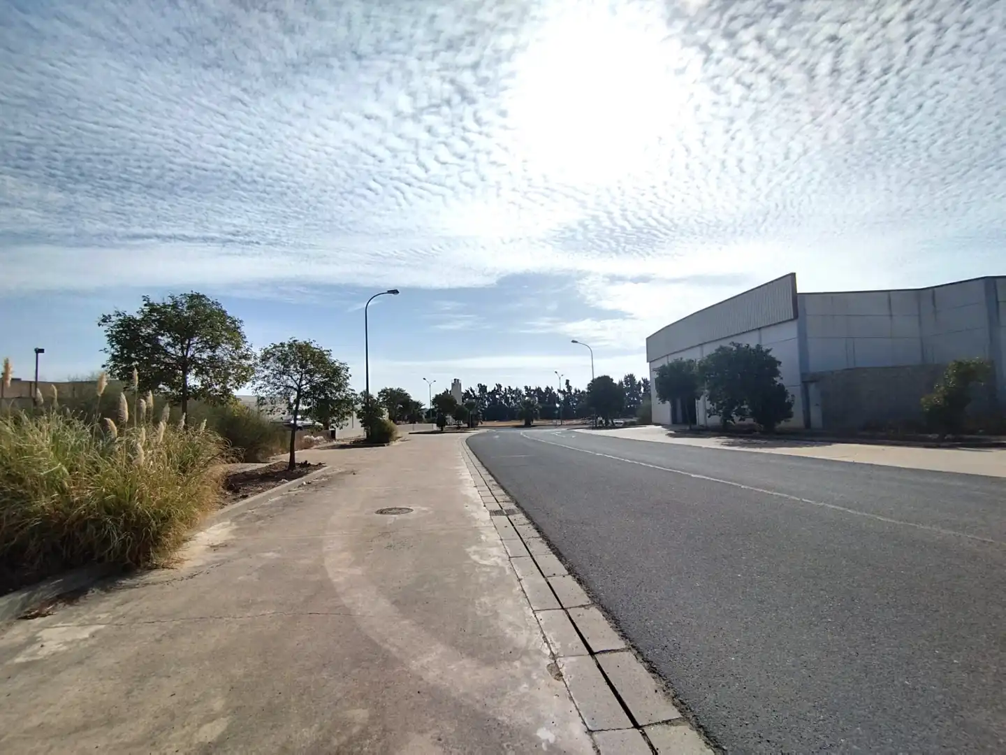 Vista exterior de Terreny industrial en venda en Lepe