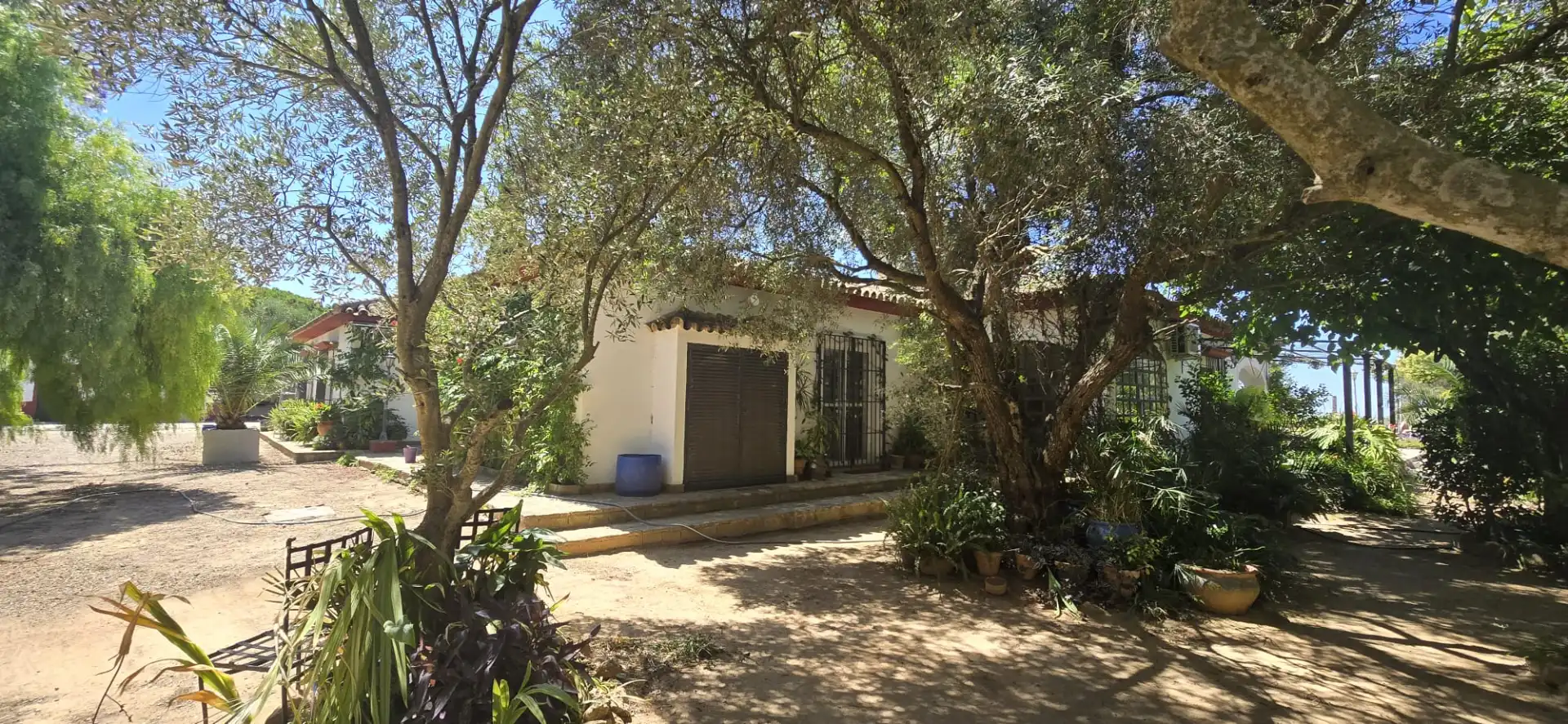 Garden of Houses for rent in Jerez de la Frontera  with Air Conditioner, Private garden and Swimming Pool