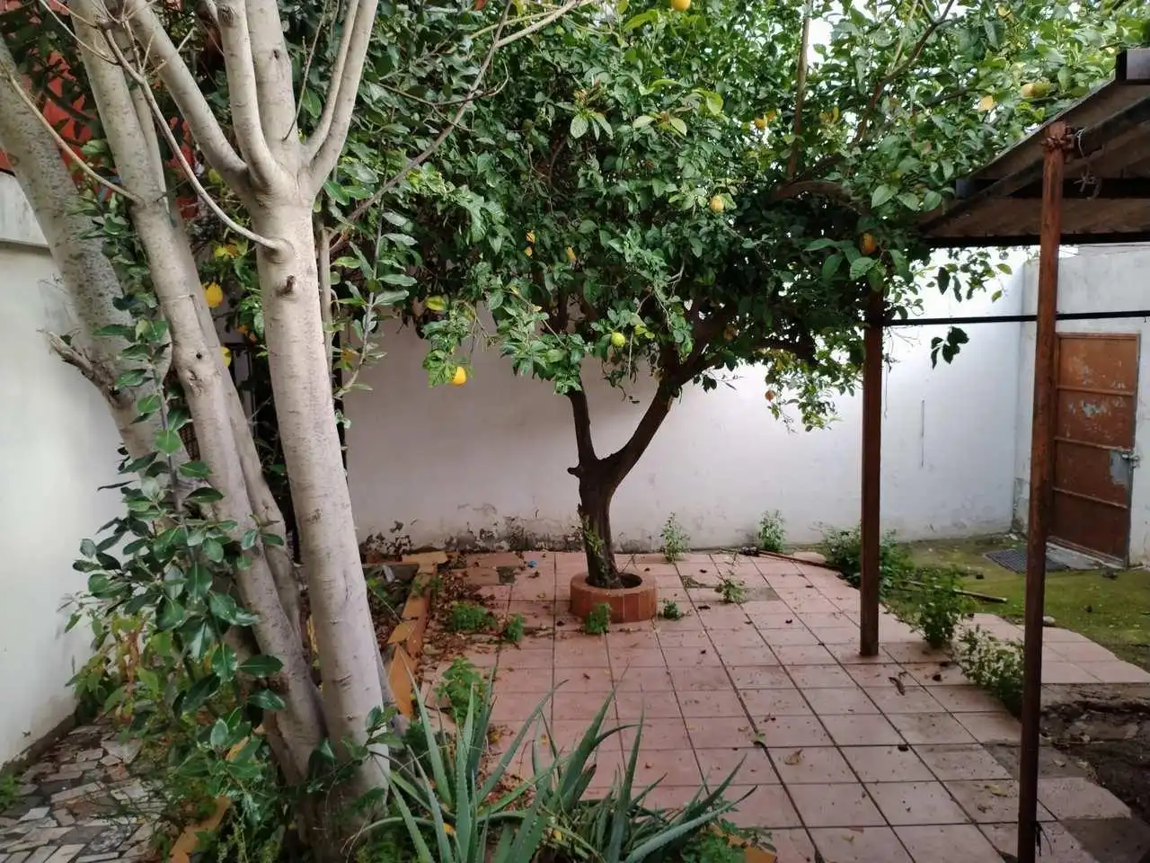 Houses for sale in Pescadores - Saladillo