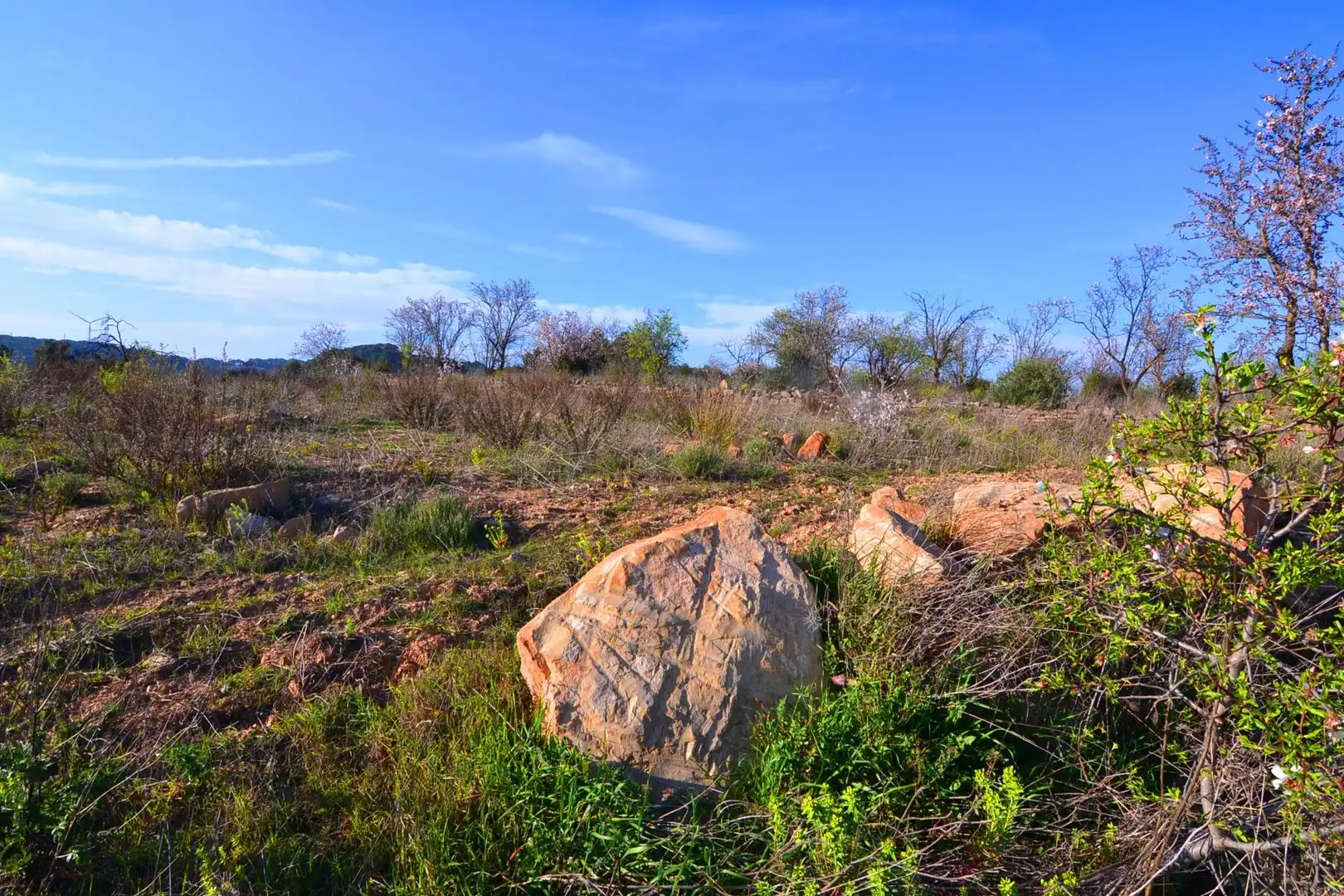Rural land for sale in Gandesa, imagen 44