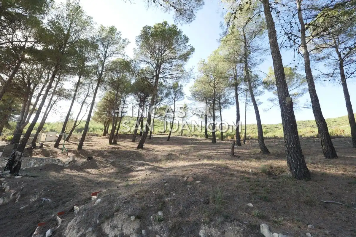 Residential zum Verkauf in Torremanzanas / La Torre de les Maçanes