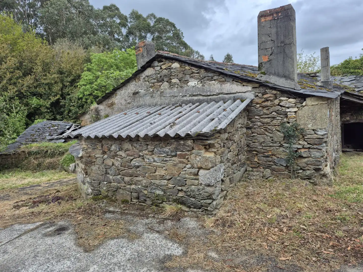 Vista exterior de Finca rústica en venta en As Somozas  con Jardín privado