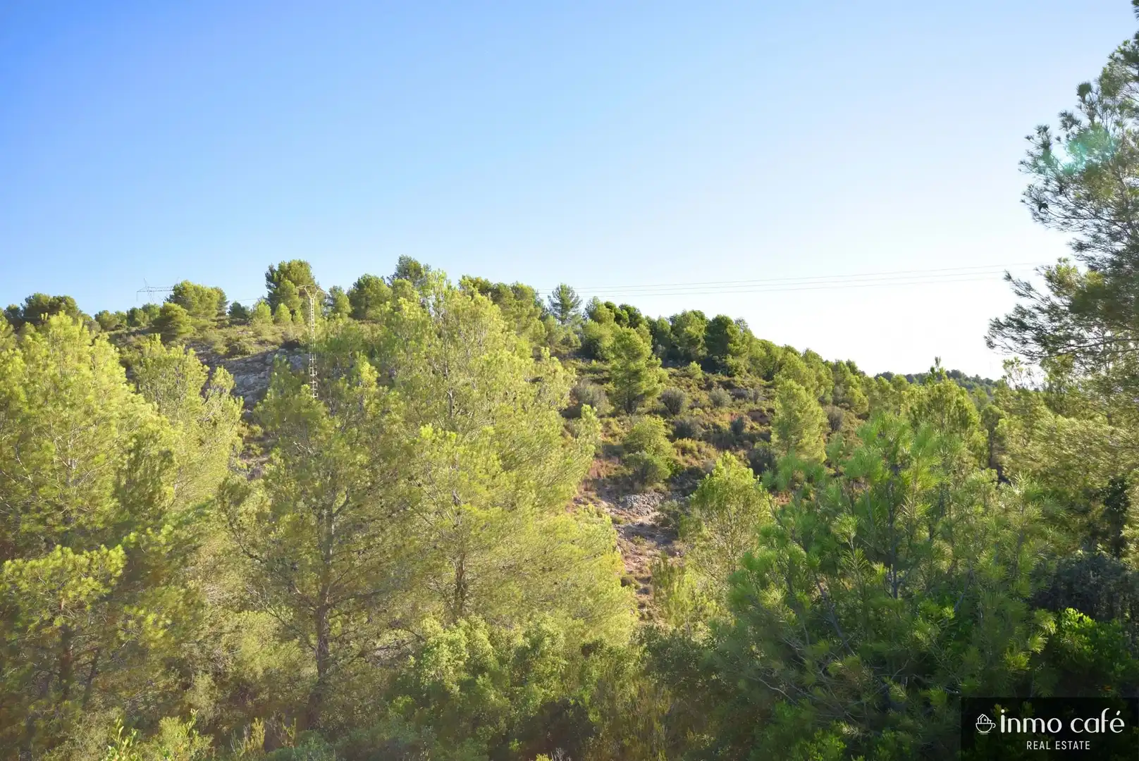 Terreny rústic en venda a L'Alcúdia de Crespins, imagen 2