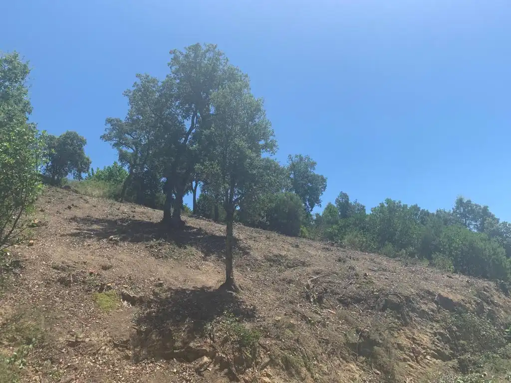 Lands and plots for sale in Riudarenes, imagen 8