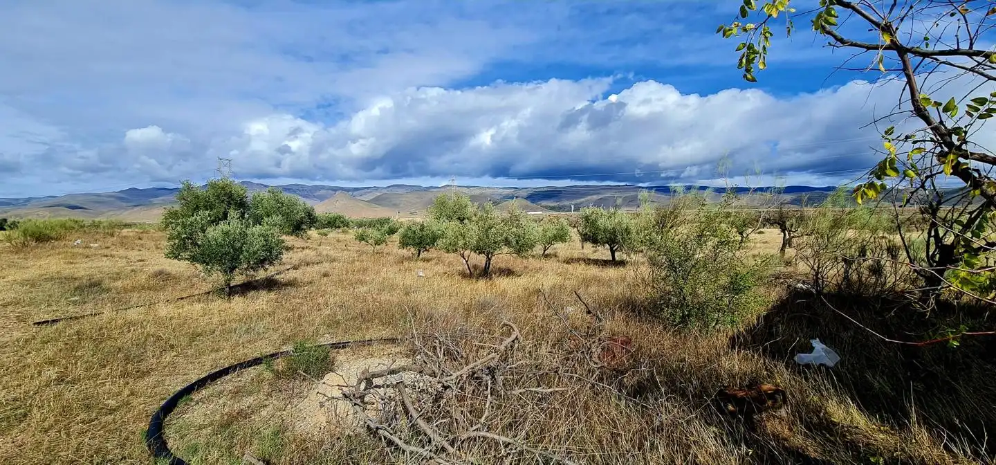 Lands and plots for sale in Campo de Gergal, imagen 11