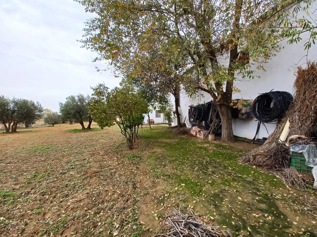 Casa rústica amb jardí en venda a La Roda