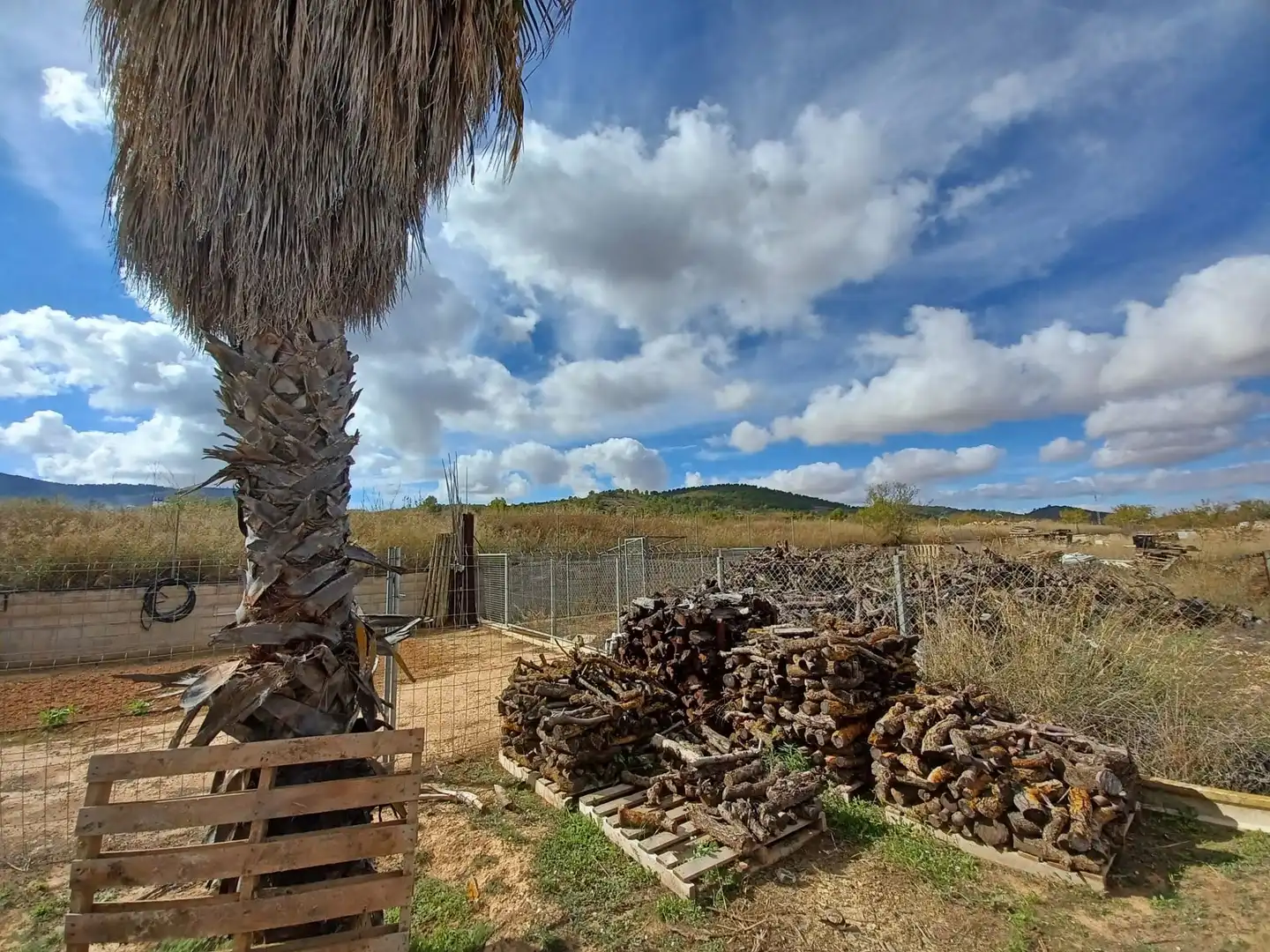 Casa rústica en venta en Monóvar  / Monòver, imagen 14