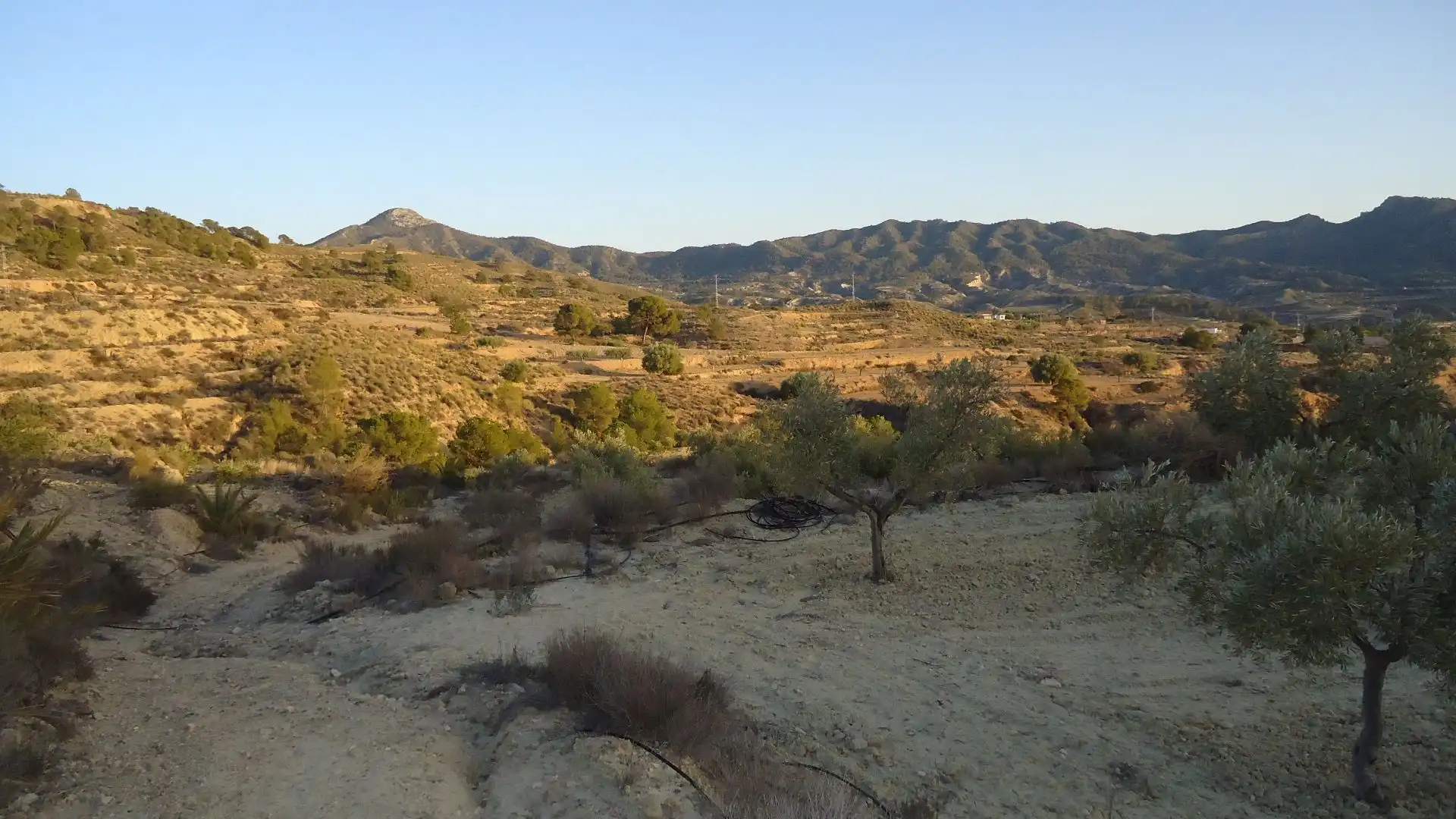 Lands and plots for sale in Abanilla, imagen 10