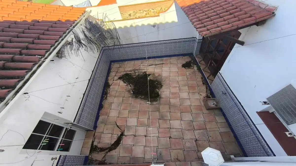 Piscina de Casa adosada en venta en Hornachos