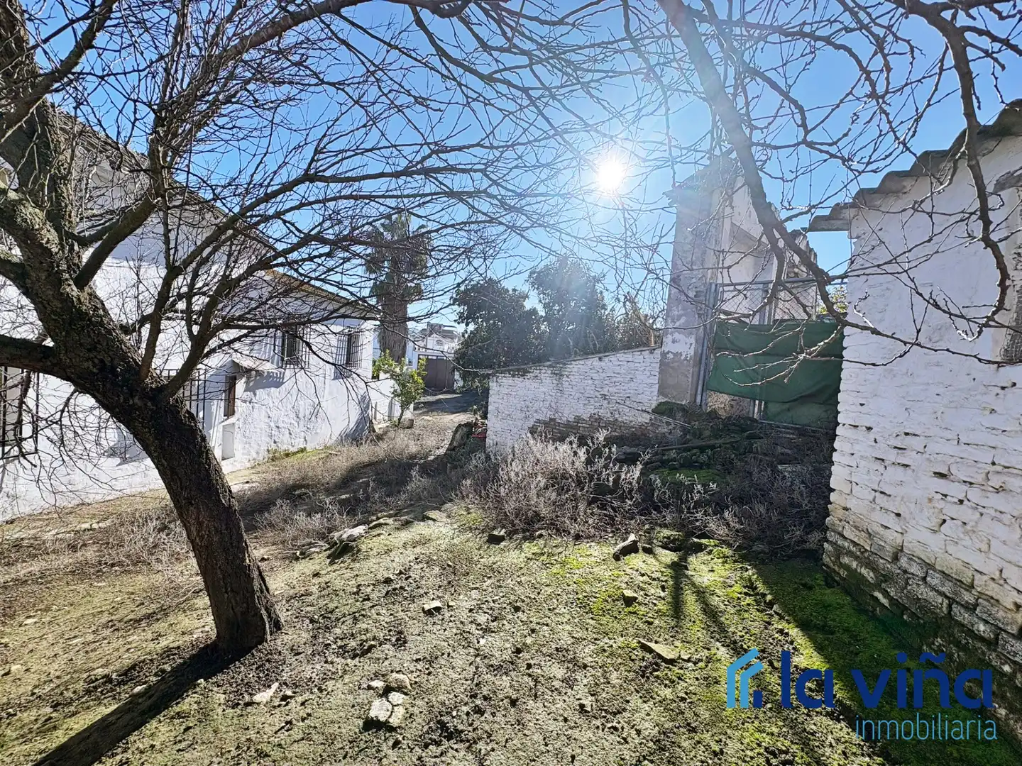 House with terrace for sale in Benamejí, imagen 17
