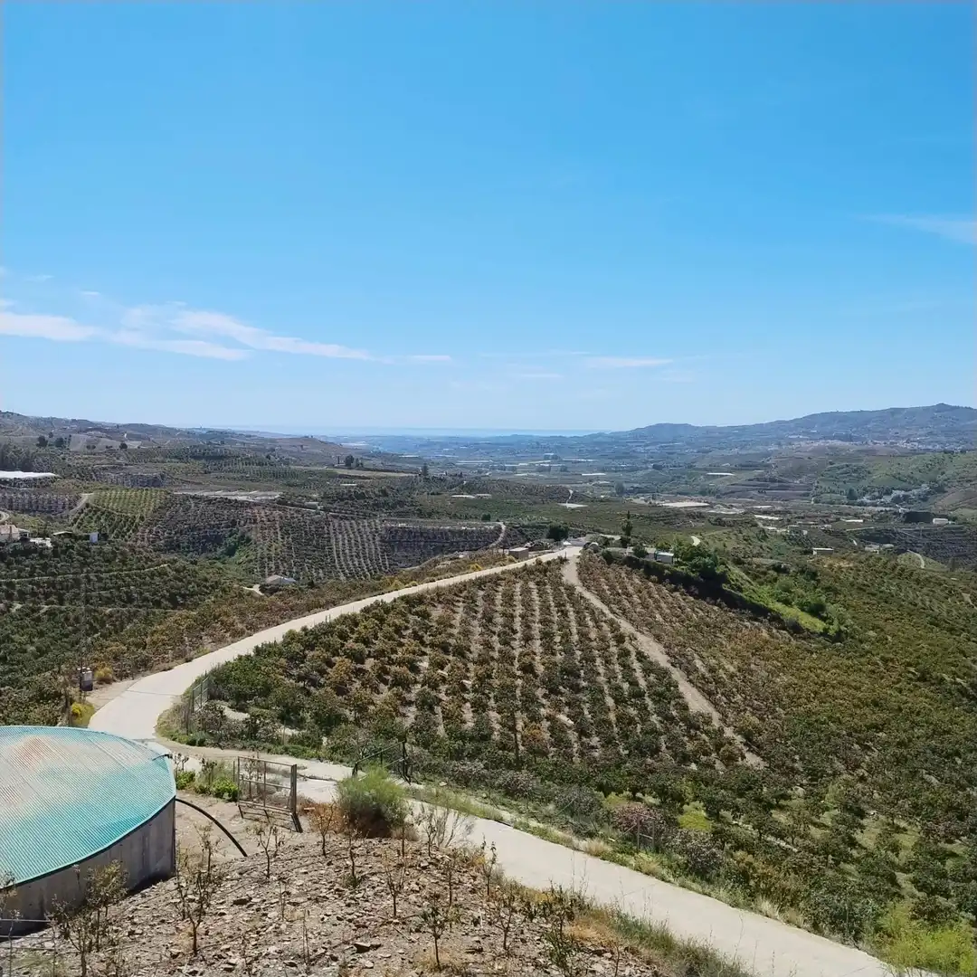 Casa o xalet en venda en Vélez-Málaga ciudad
